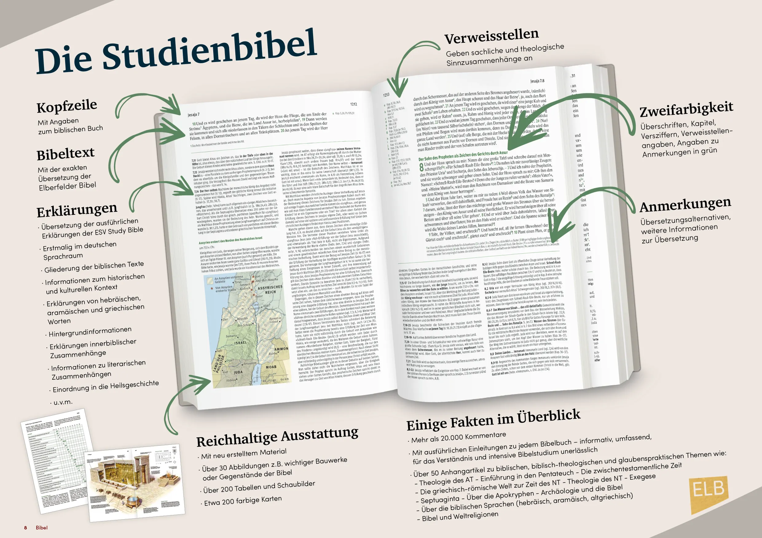 Eine Grafik, die den Aufbau der Studienbibel veranschaulicht