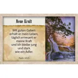 Stimmungsbild zu Survival-Kit - Karten