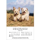 Stimmungsbild zu Ein Jahr der Geborgenheit 2026 - Minikalender