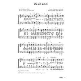 Produktbild des Artikels Wie groß bist du (Noten - Download)