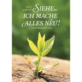 Produktbild des Artikels Jahreslosung 2026 - Postkarten, 12 Stk (Schreibwaren)