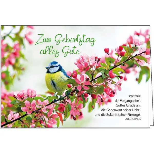 Produktbild des Artikels Faltkarte: Zum Geburtstag alles Gute (Schreibwaren)