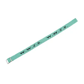 Produktbild des Artikels Armband WWJD mintgrün ()