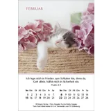 Stimmungsbild zu Ein Jahr der Geborgenheit 2026 - Minikalender