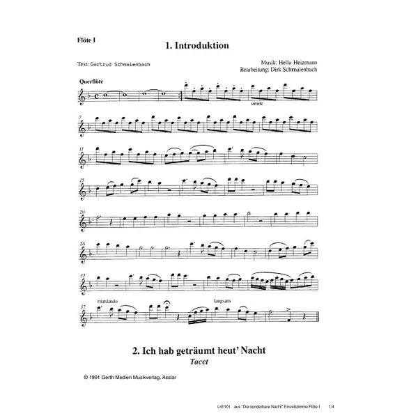 Produktbild des Artikels Die sonderbare Nacht (Flöte) (Noten - Download)