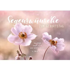 Produktbild des Artikels Faltkarte "Segenswünsche zum Geburtstag" - Blumen (Schreibwaren)