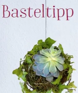 Bild zum Newsbeitrag - Dekorative Moosbälle – ein  absoluter Hingucker für jedes  Zuhause!