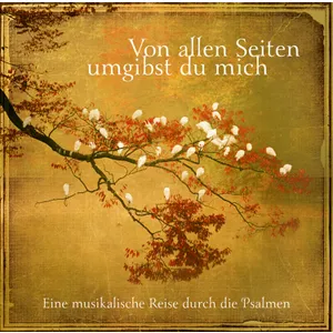 Produktbild des Artikels Von allen Seiten umgibst du mich (Playback ohne Backings) (MP3-Album - Download)