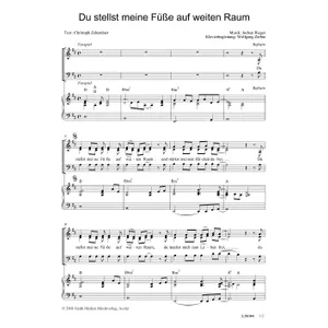 Produktbild des Artikels Du stellst meine Füße auf weiten Raum (Noten - Download)