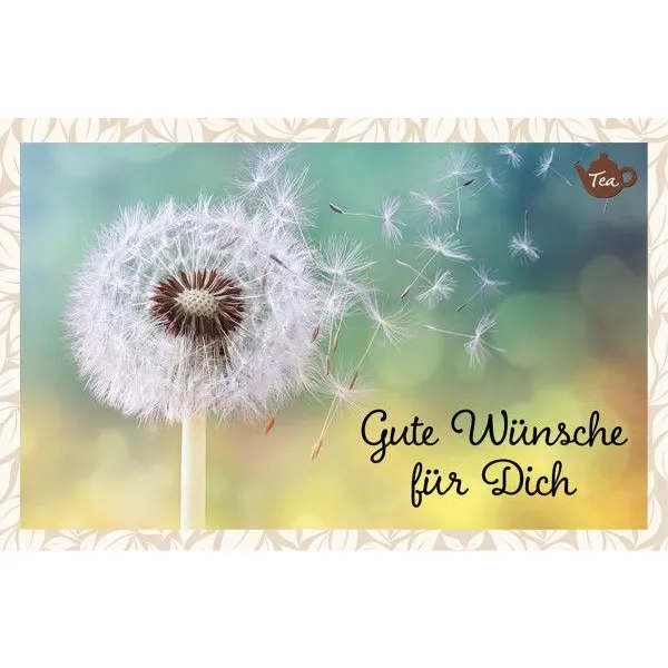 Produktbild des Artikels Teekarte - Gute Wünsche für Dich (Lebensmittel)