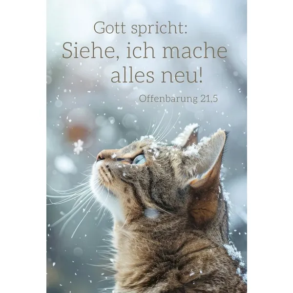 Produktbild des Artikels Jahreslosung 2026 - Poster A4 "Katze" ()
