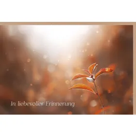 Produktbild des Artikels Faltkarte "In liebevoller Erinnerung" (Schreibwaren)