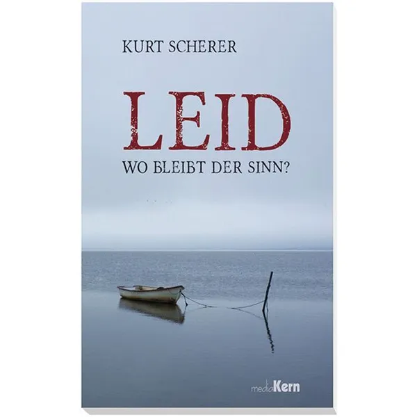 Produktbild des Artikels Leid - wo bleibt der Sinn? (Buch - Taschenbuch)