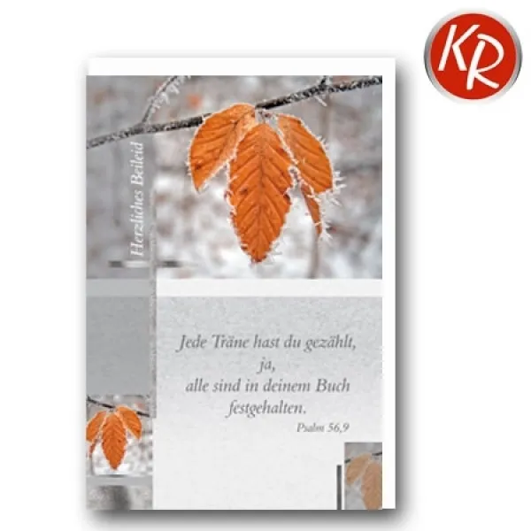 Produktbild des Artikels Faltkarte - Trauer Ps.56,9 (Schreibwaren)
