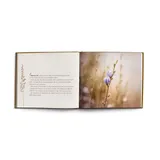 Stimmungsbild zu Über den Abschied hinaus