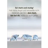 Stimmungsbild zu Unendlich geliebt - Blechdose