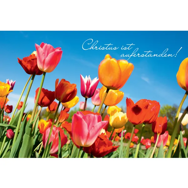 Produktbild des Artikels Faltkarte "Christus ist auferstanden!" - 5 Stück (Schreibwaren)