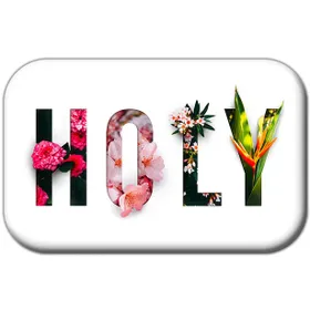 Produktbild des Artikels Magnet - Holy (Schreibwaren)