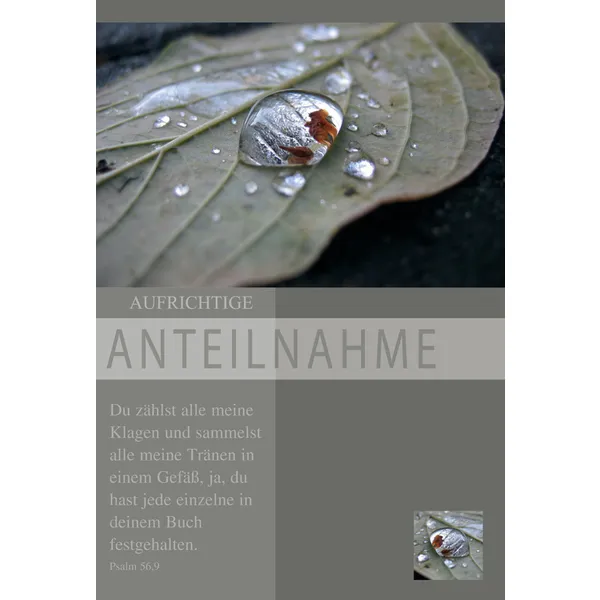 Produktbild des Artikels Faltkarte "Aufrichtige Anteilnahme - Du zählst alle meine Klagen..." - 5 Stück (Schreibwaren)