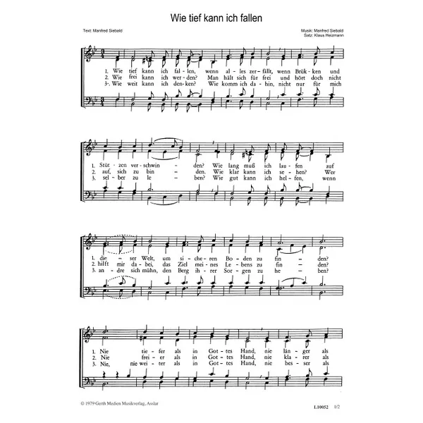Produktbild des Artikels Wie tief kann ich fallen (Noten - Download)