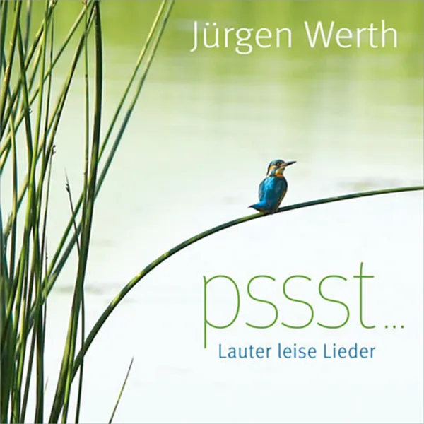 Produktbild des Artikels pssst ... Lauter leise Lieder (Playback) (MP3-Album - Download)