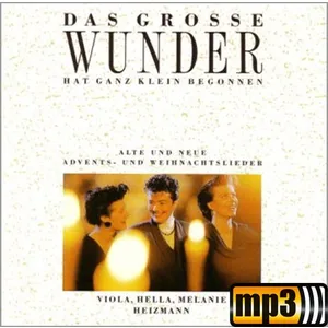 Produktbild des Artikels Das große Wunder hat ganz klein begonnen (MP3-Album - Download)