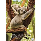 Stimmungsbild zu Postkartenbuch: Tierisch schön ist Gottes Schöpfung