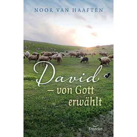 Produktbild des Artikels David - von Gott erwählt (Buch - Paperback)