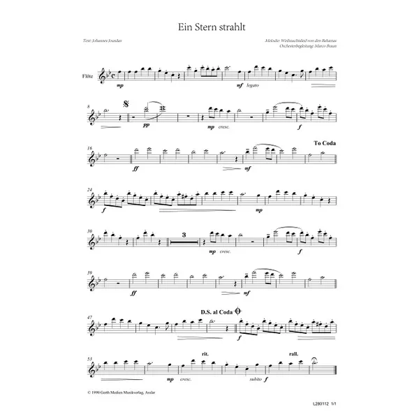 Produktbild des Artikels Ein Stern strahlt (Flöte) (Noten - Download)