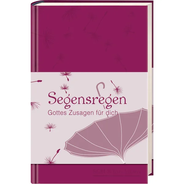 Produktbild des Artikels Segensregen (Buch - Hardcover)