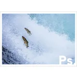 Stimmungsbild zu Ps. - Postkartenbuch