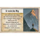 Stimmungsbild zu Survival-Kit - Karten