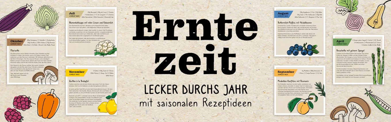 Banner zu 835357_Erntezeit