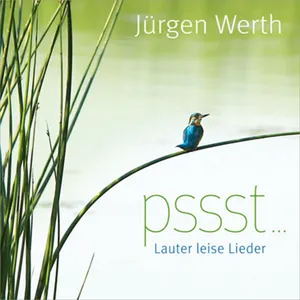 Produktbild des Artikels pssst ... Lauter leise Lieder (Playback) (MP3-Album - Download)
