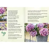 Stimmungsbild zu Grüße aus dem Garten der Psalmen
