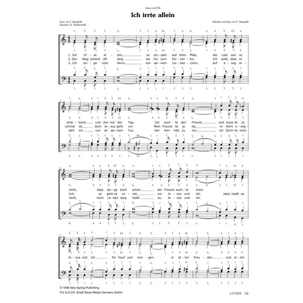 Produktbild des Artikels Ich irrte allein (Noten - Download)