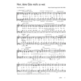 Produktbild des Artikels Herr, deine Güte reicht so weit (Noten - Download)