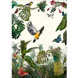 Stimmungsbild zu Grüße aus dem Paradies - Postkartenbox