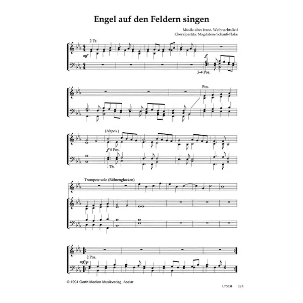 Produktbild des Artikels Engel auf den Feldern singen (Noten - Download)
