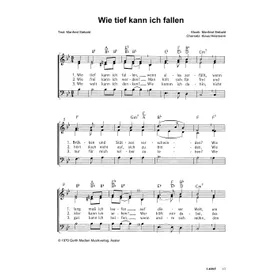 Produktbild des Artikels Wie tief kann ich fallen (Noten - Download)