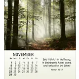 Stimmungsbild zu Schönheit des Lichts 2026 - Tischkalender