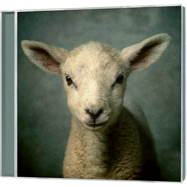 Produktbild des Artikels Lion (Audio - CD)