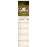 Stimmungsbild zu Für Euch 2026 - Terminkalender