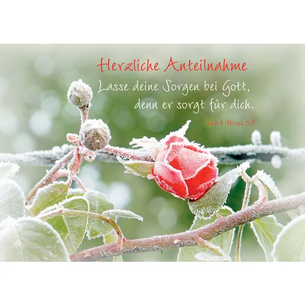 Produktbild des Artikels Faltkarte "Herzliche Anteilnahme! - Lasse deine Sorgen bei Gott ..." - 5 Stück (Schreibwaren)