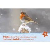 Stimmungsbild zu Hosentaschenadventskalender 2025