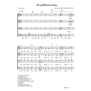 Produktbild des Artikels Schneeflöckchentraum (Noten - Download)