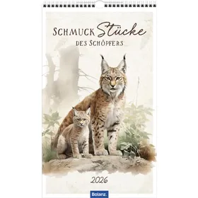 Produktbild des Artikels SchmuckStücke des Schöpfers 2026 - Posterkalender (Kalender - Spiralbindung)