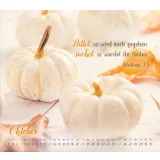 Stimmungsbild zu Segensworte 2026 - Postkartenkalender