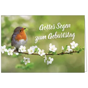 Produktbild des Artikels Faltkarte: Gottes Segen zum Geburtstag (Schreibwaren)
