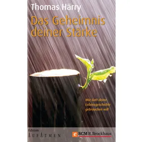 Produktbild des Artikels Das Geheimnis deiner Stärke (E-Book - ePUB Datei)
